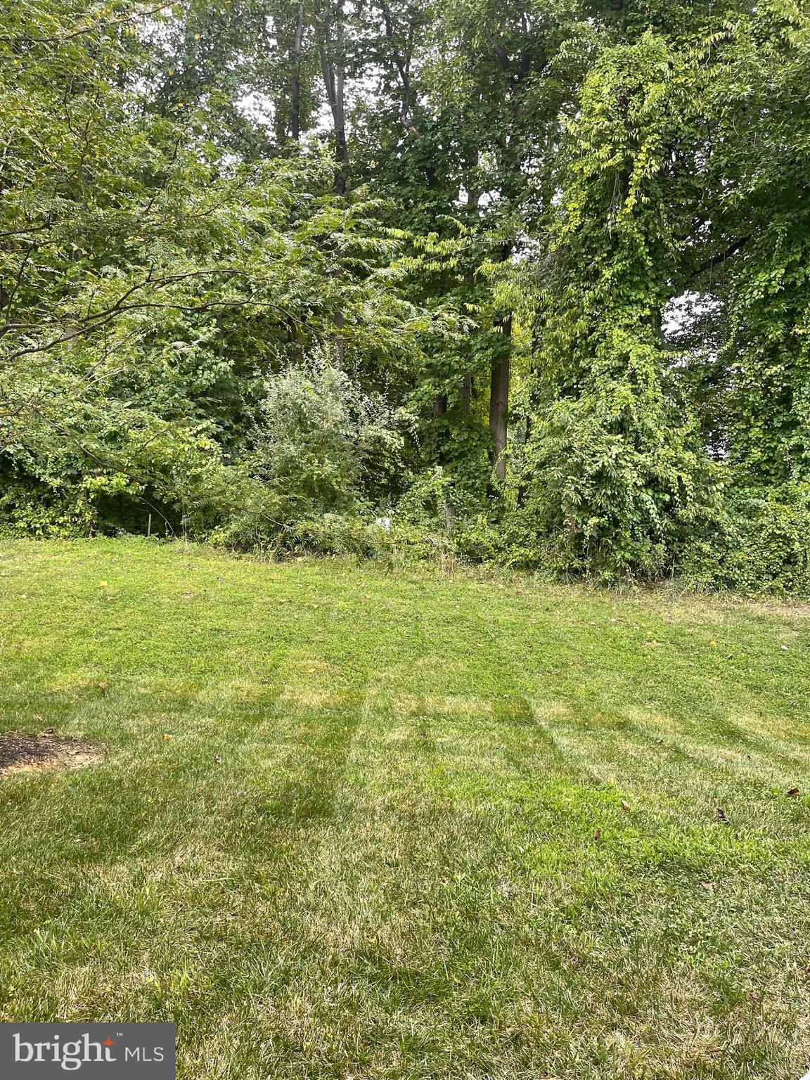 MARLBORO RIDING-PLAT 1> - Residential Lease