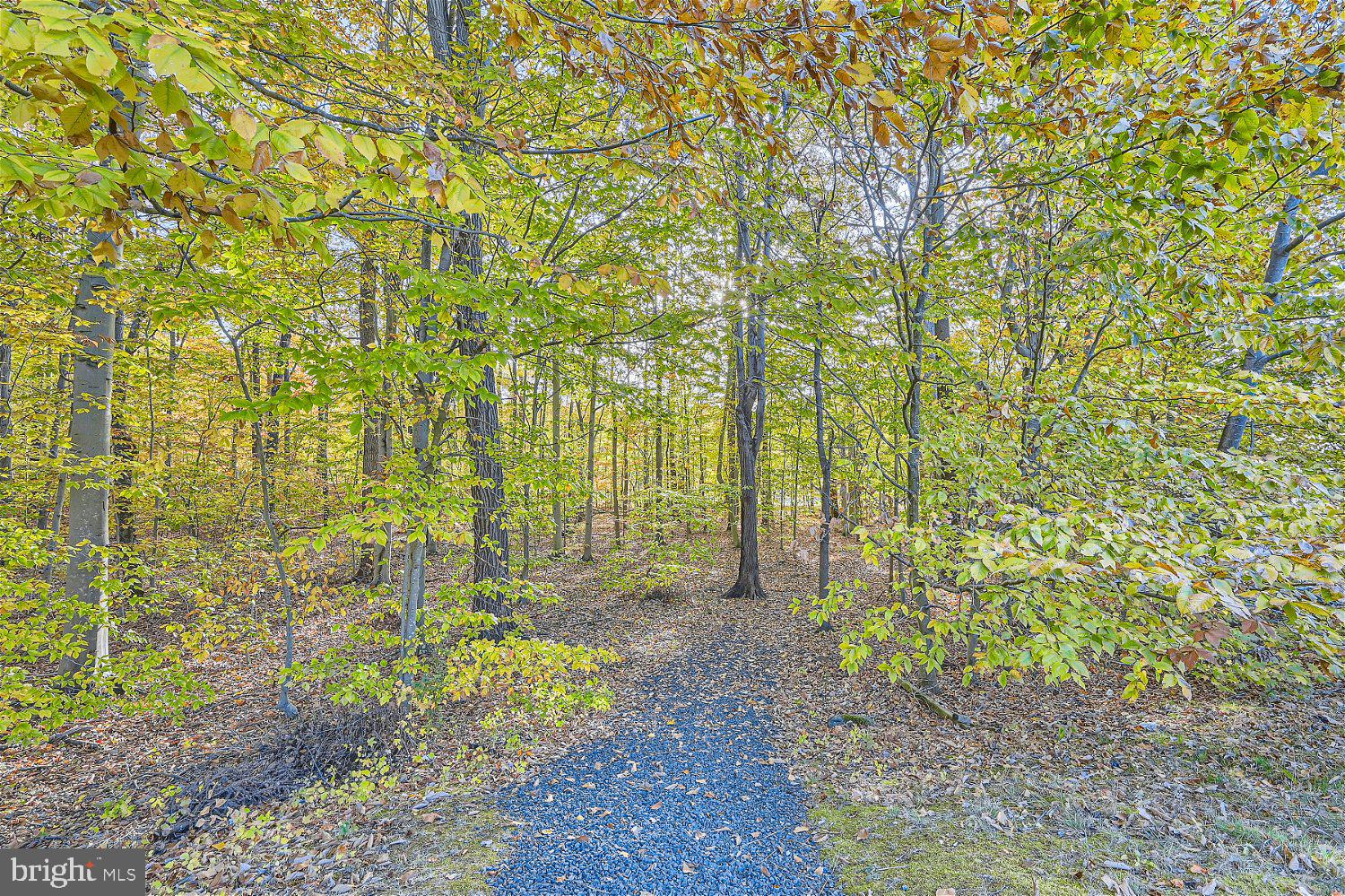 HOLLY WOODS - Residential