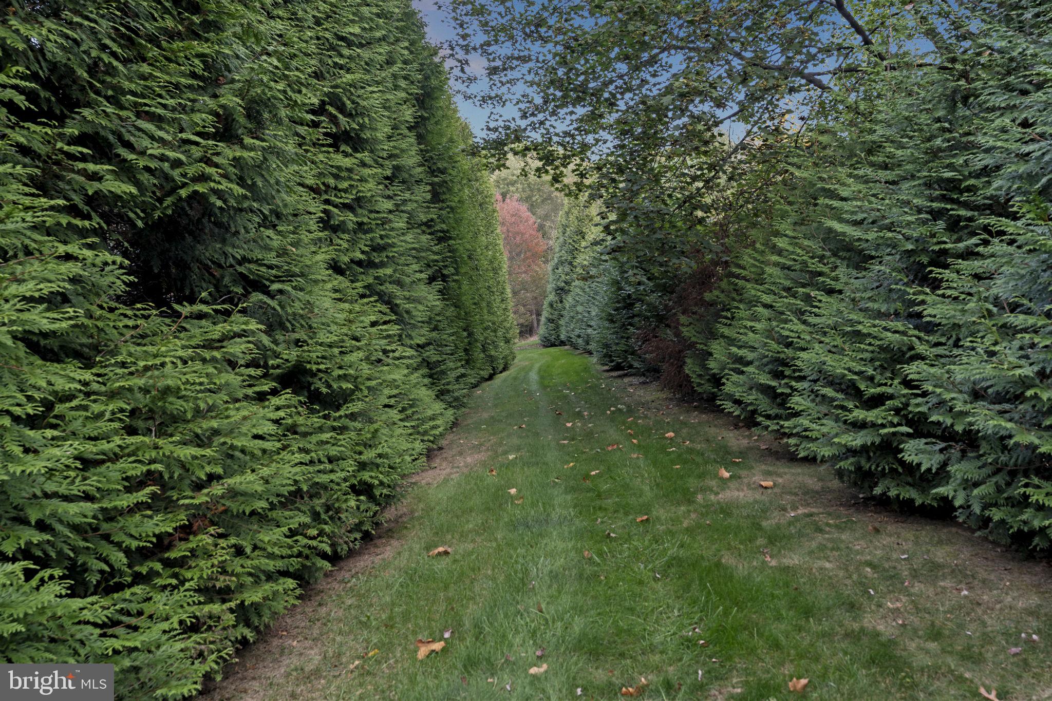 WOODHILL - Residential