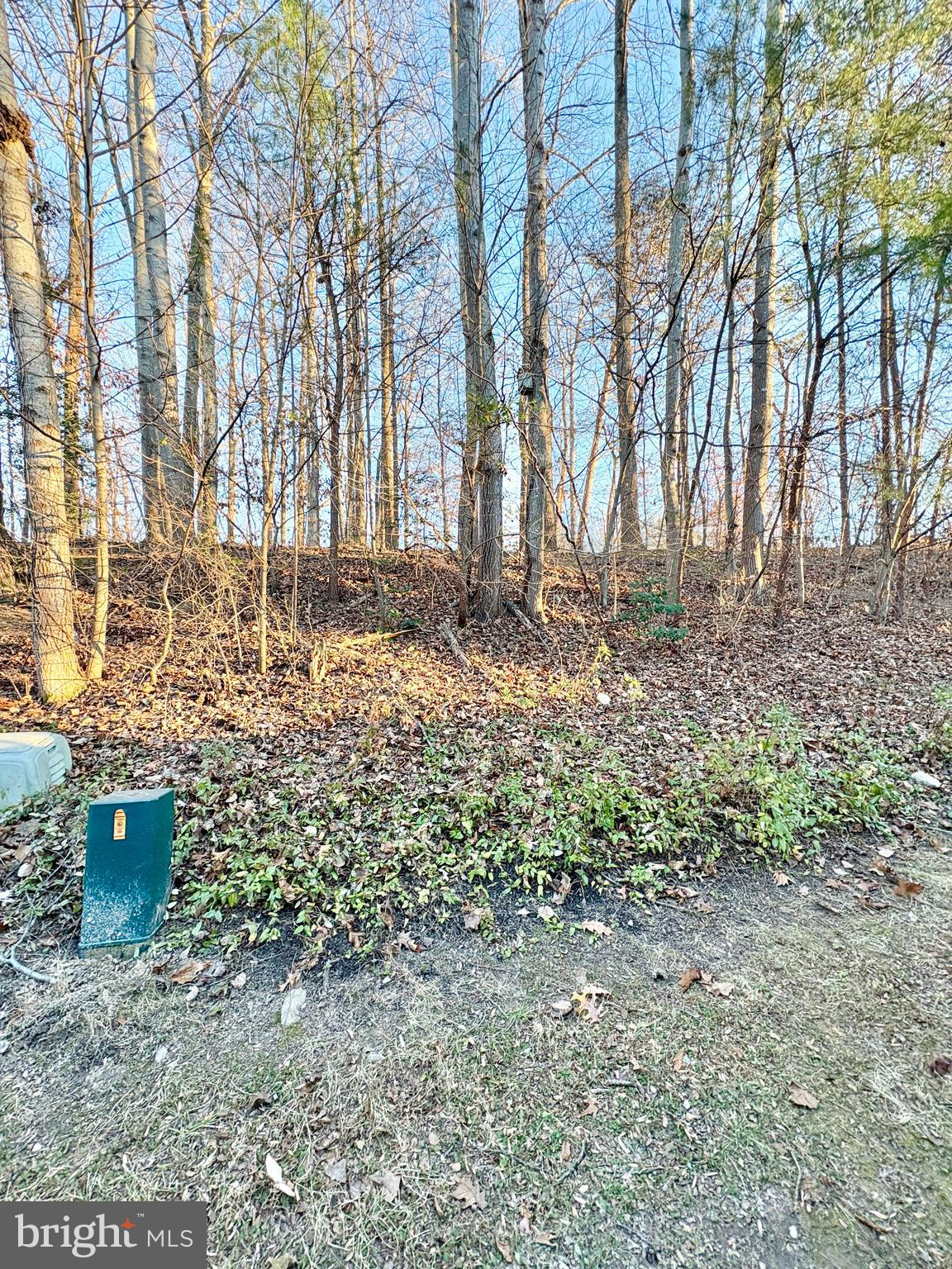 NEWINGTON FOREST - Residential Lease