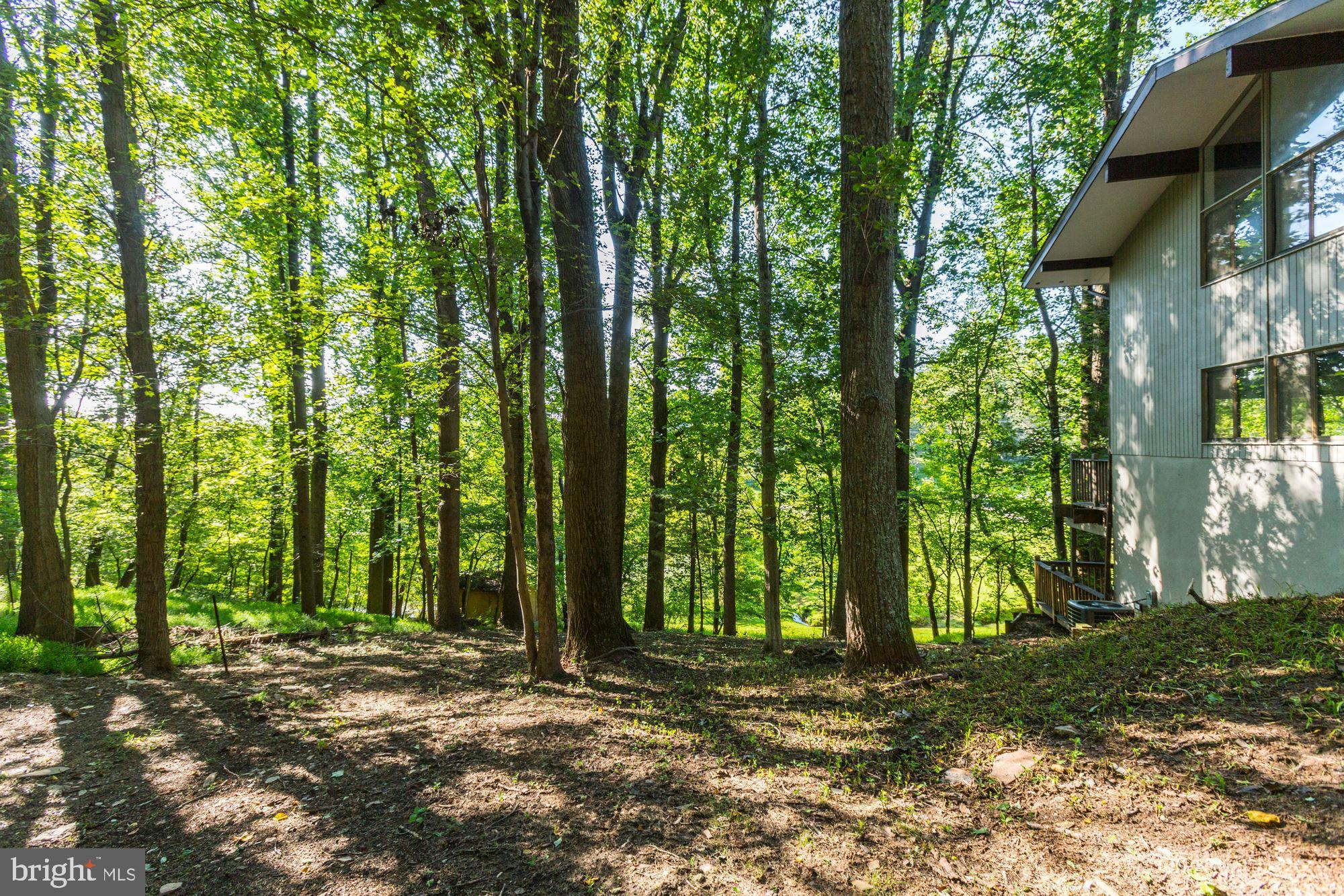 CLARKSVILLE HUNT - Residential