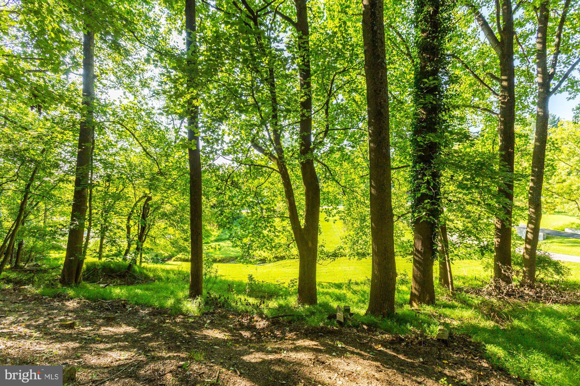 CLARKSVILLE HUNT - Residential