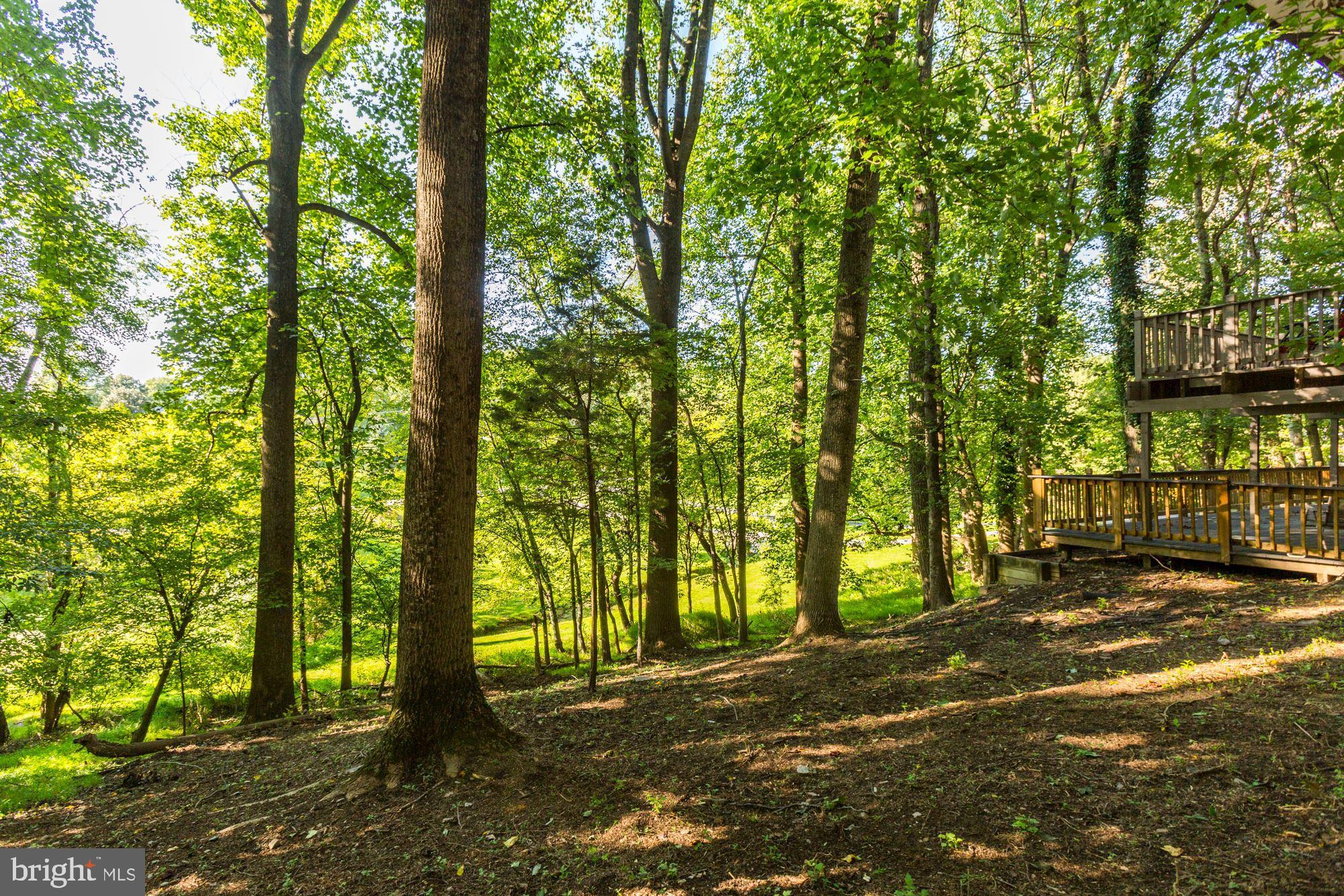 CLARKSVILLE HUNT - Residential