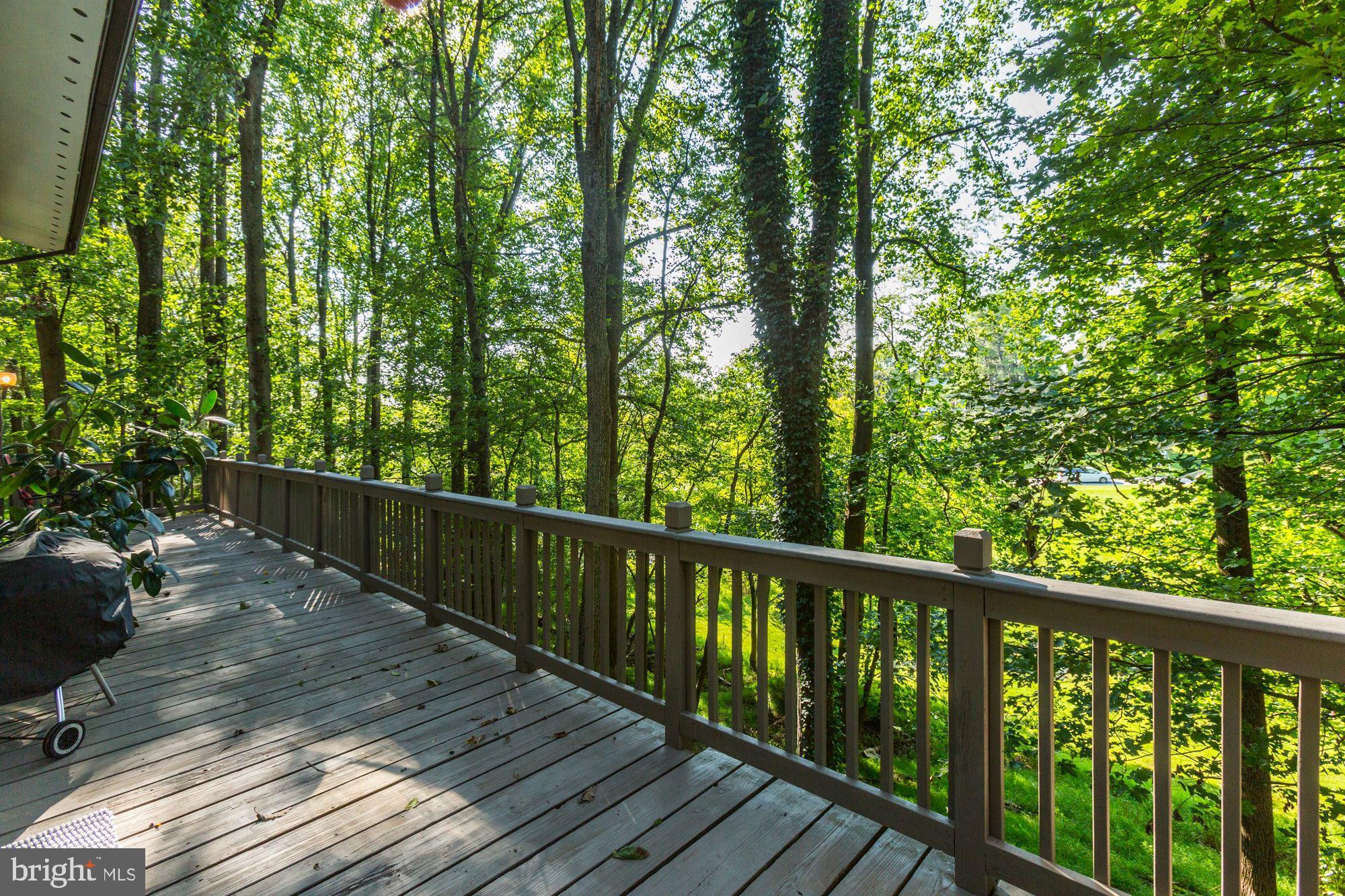 CLARKSVILLE HUNT - Residential