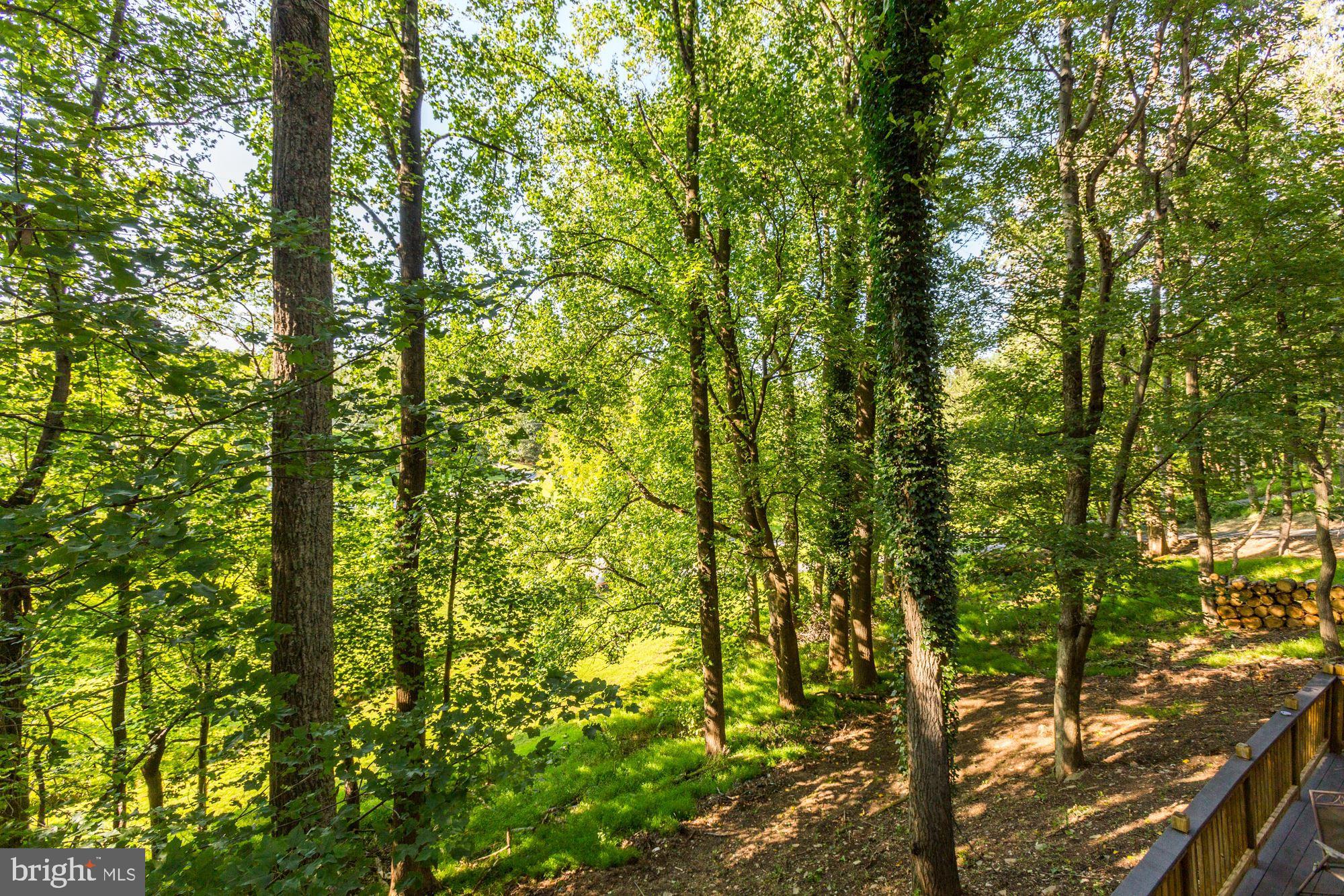 CLARKSVILLE HUNT - Residential