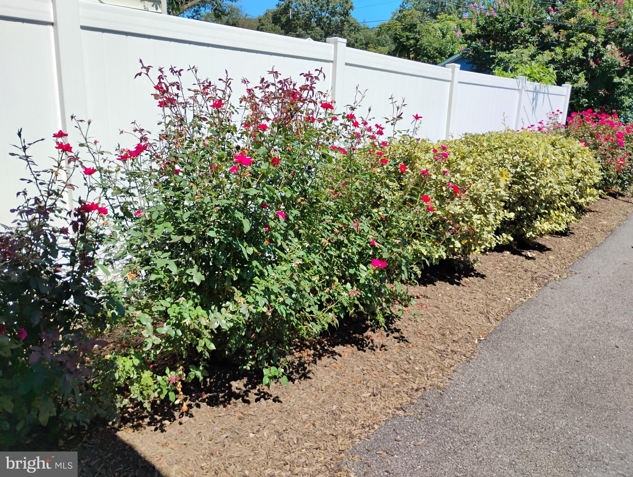 MAGOTHY BEACH - Residential