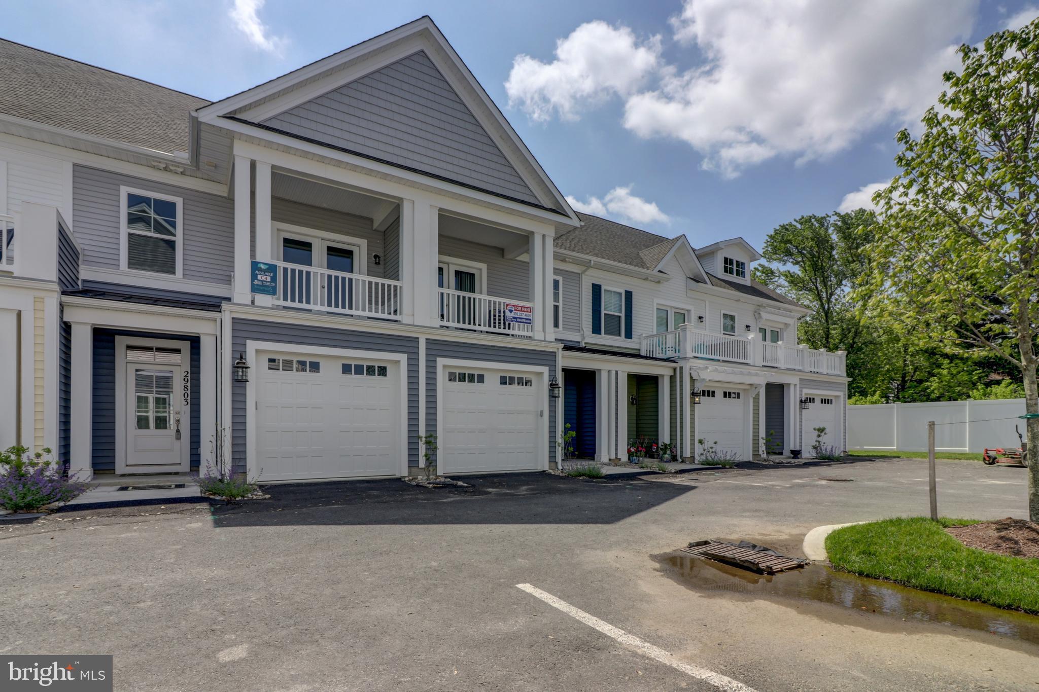 29805 STRIPER HARBOR C3