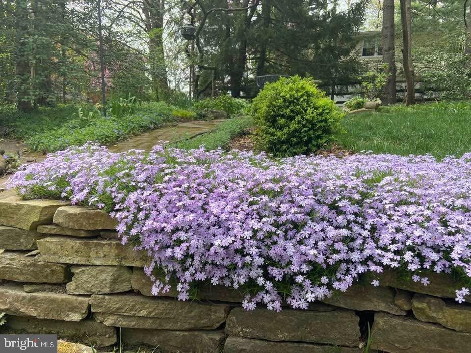 CATONSVILLE - Residential