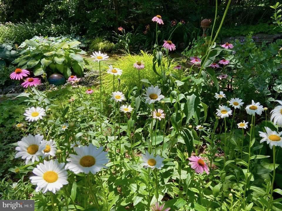 CATONSVILLE - Residential