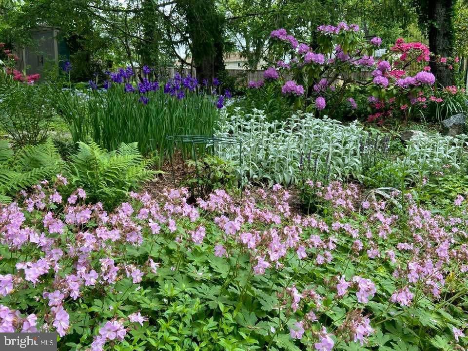 CATONSVILLE - Residential