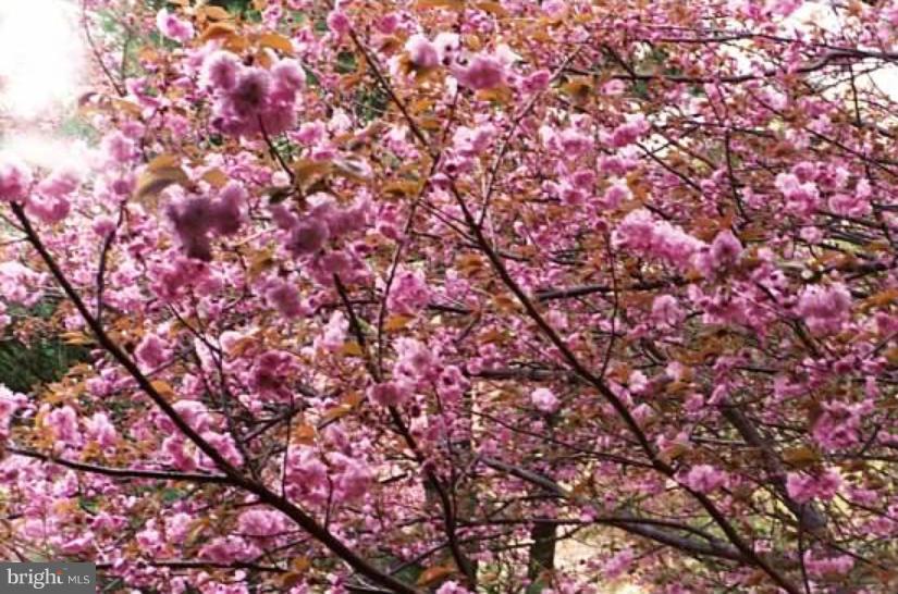 PLYMOUTH GARDENS - Residential