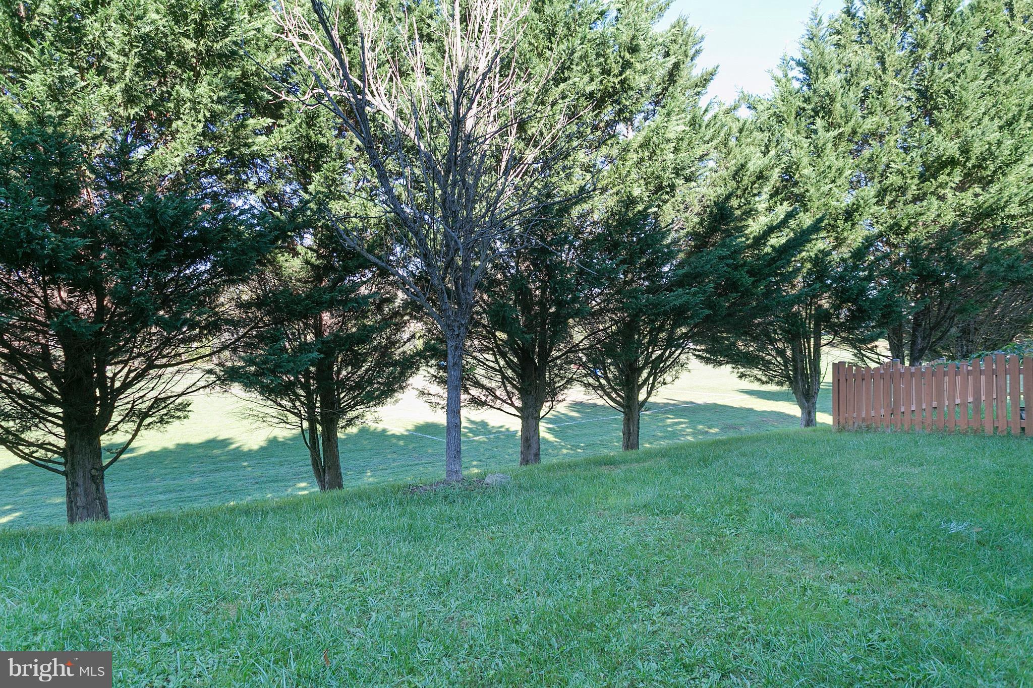 DANIEL'S MILL OVERLOOK - Residential