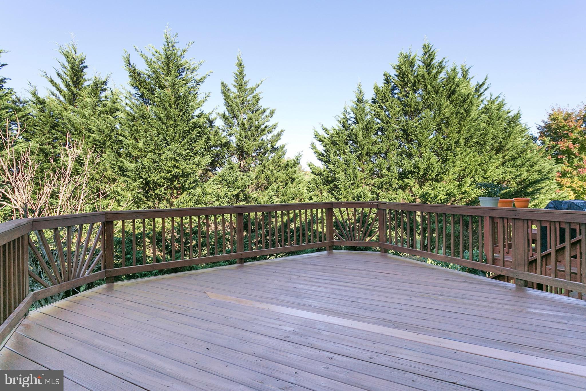 DANIEL'S MILL OVERLOOK - Residential