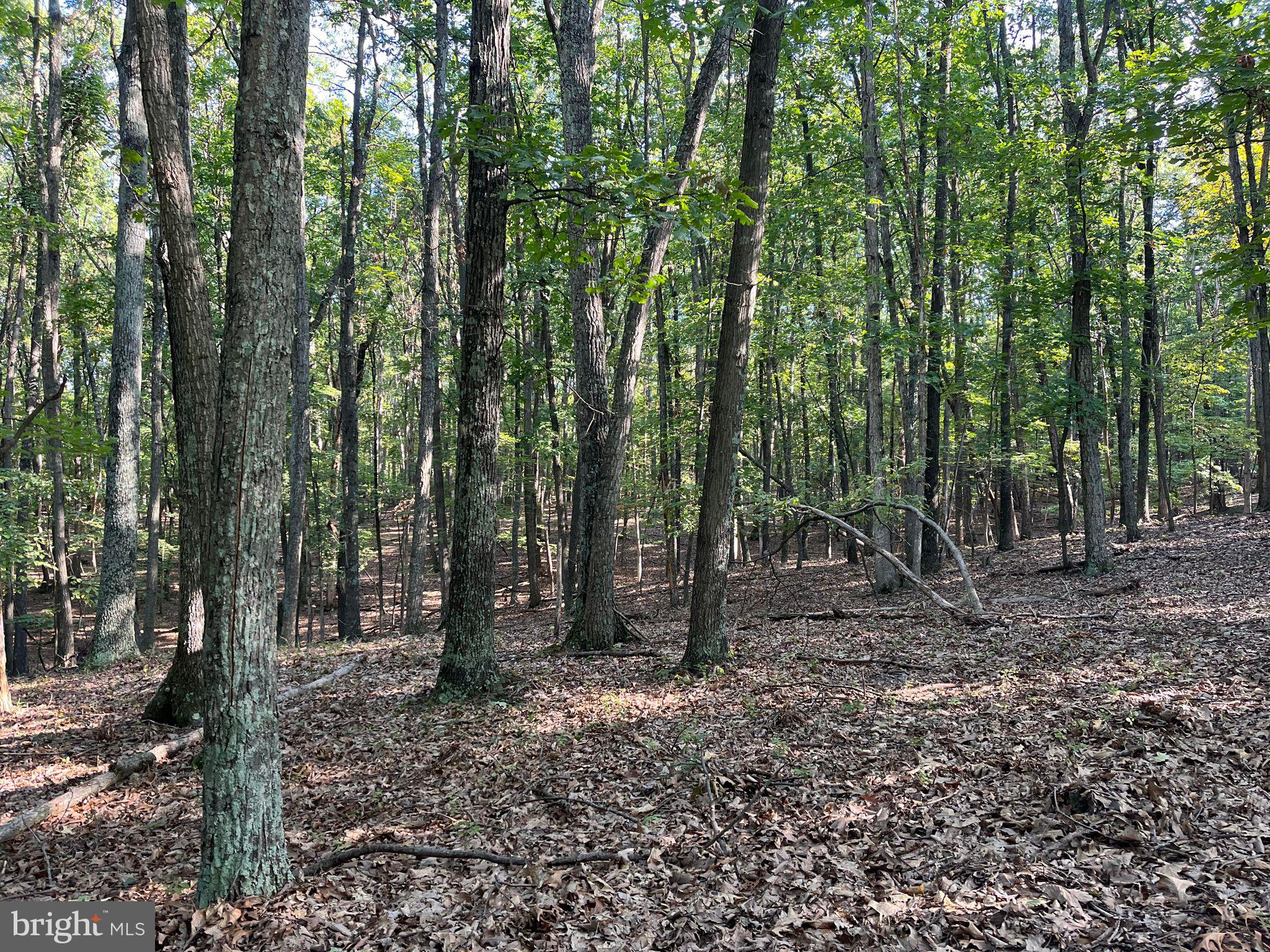 SKY BLUE ACRES - Residential