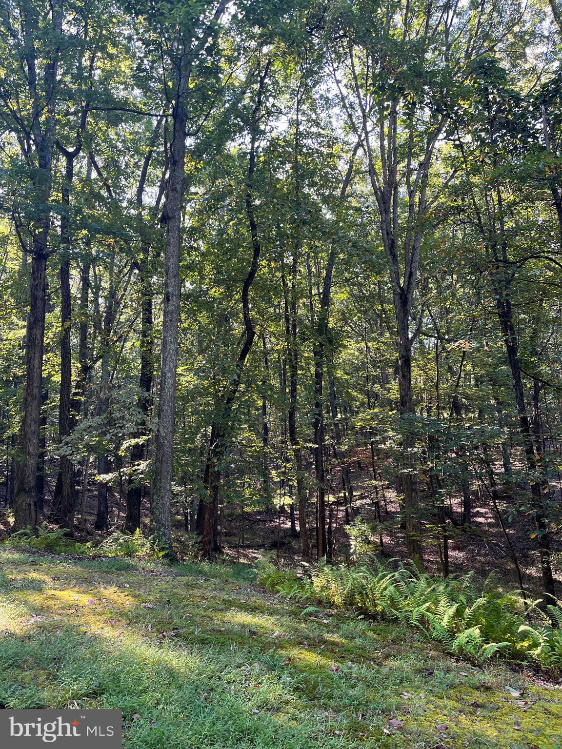 SKY BLUE ACRES - Residential