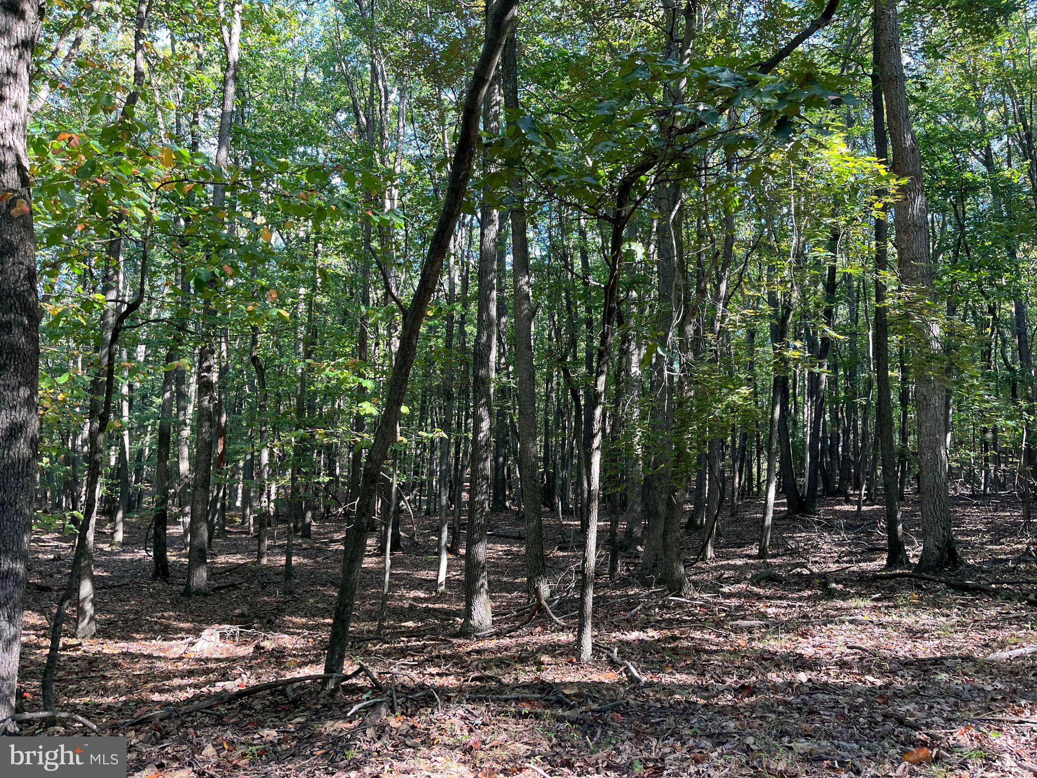 SKY BLUE ACRES - Residential