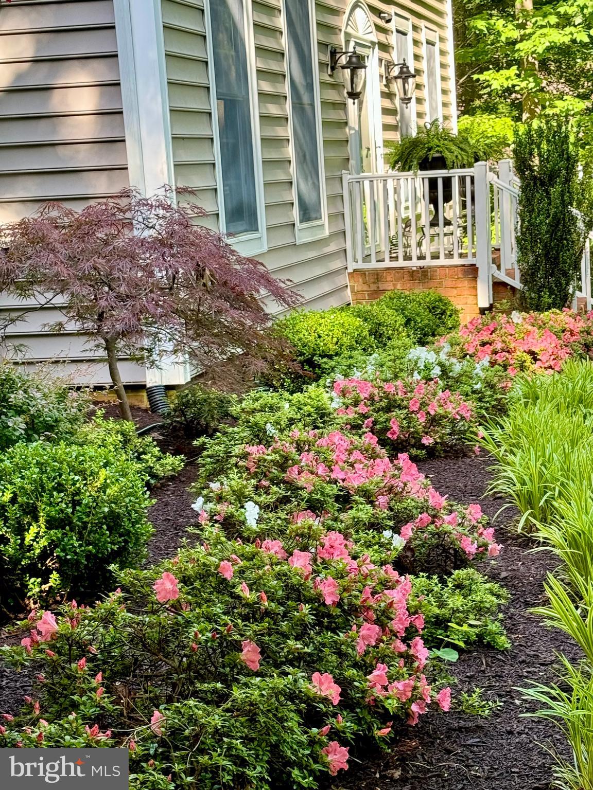 THE RIDGES - Residential