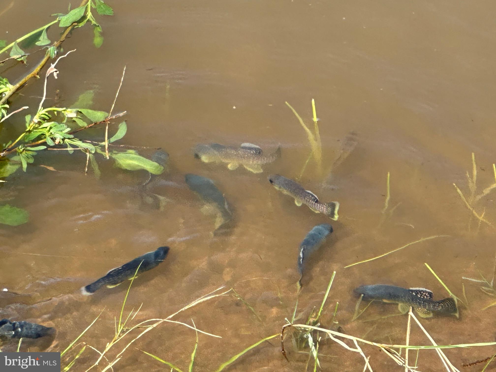 CHAR NOR MANOR - Residential