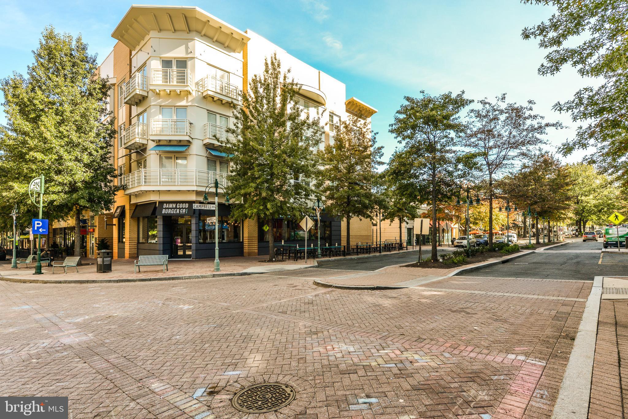 SHIRLINGTON CREST - Residential Lease