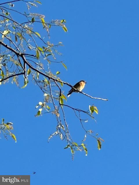 HARRIS ACRES - Residential