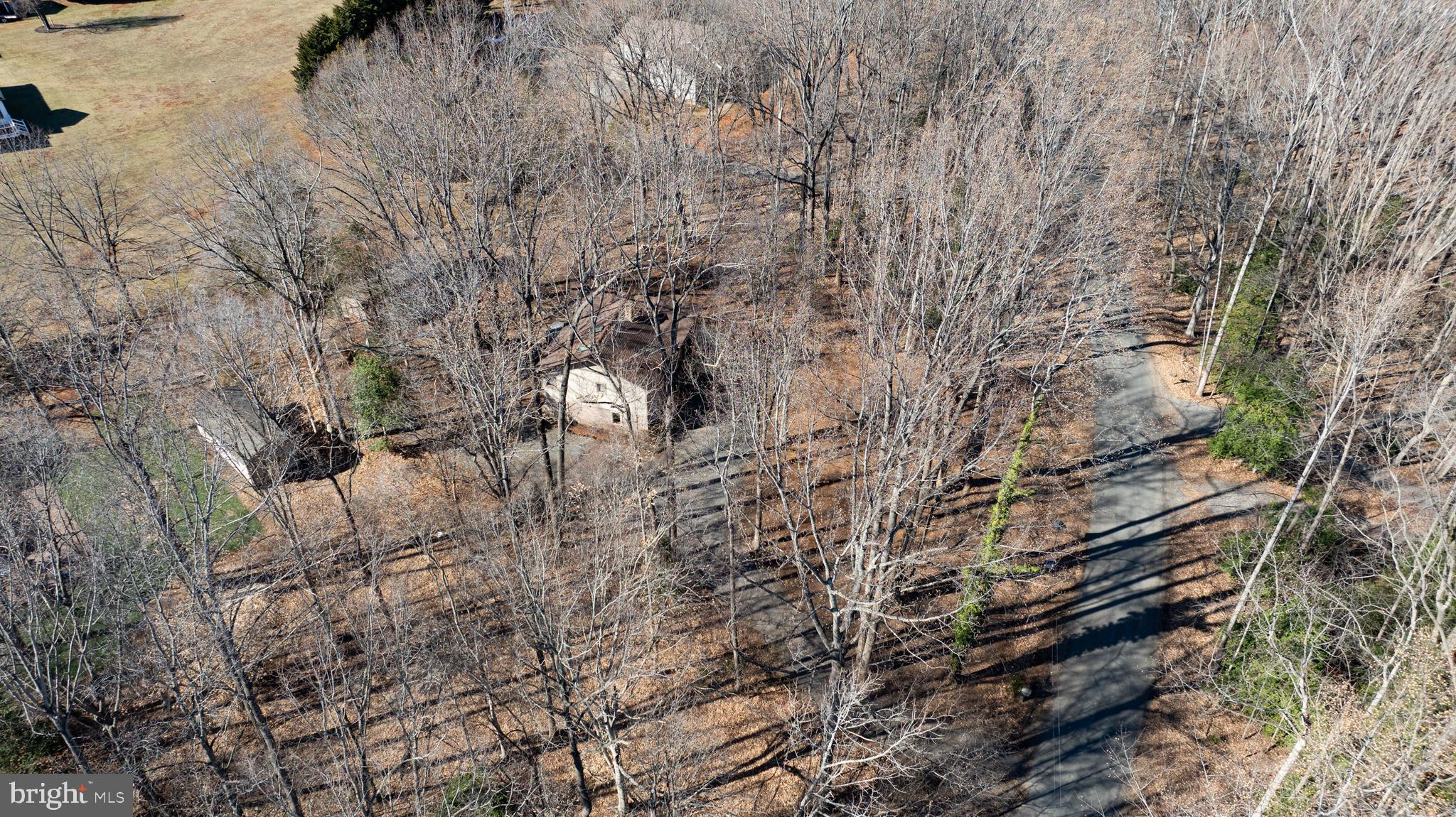 BEAR CASTLE - Residential