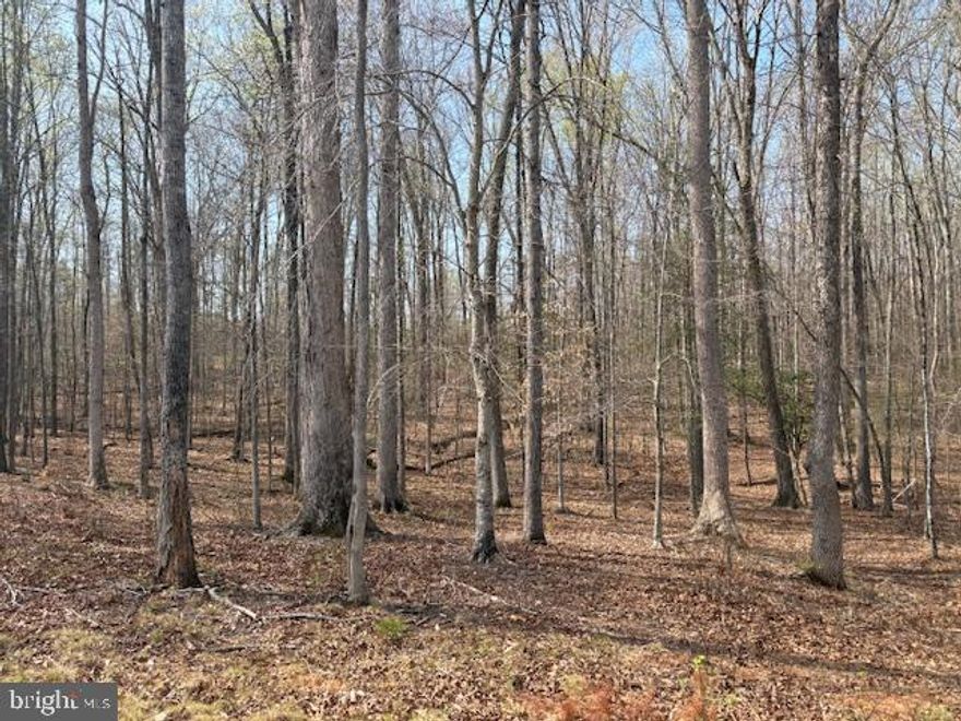 Here is your chance to build your dream home on this exceptional 3.5 acre homesite in STAFFORD County's sought after Hartwood District-offering the rare combination of a private lot with no HOA restrictions all while being surrounded by the upscale Amber Oaks community. 

This property is a standout a private parcel not associated and not subject to the Amber Oaks HOA allowing you to enjoy the benefits of a well maintained, high end neighborhood setting without the limitations.  

Unlike many land listings, this site is FULLY prepared for your custom build!  The survey, soil study, identified well site and a 5 bedroom conventional drain field with reserve already complete- saving you significant time, cost and uncertainty! 

ZONED A-1 Agricultural the property offers flexibility for a custom HOME, detached garage or workshop and expanded outdoor living and privacy galore! A 50-foot ingress easement provides dedicated driveway access while maintaining separation and privacy from the adjoining rear parcel.

Location is everything-just minutes from 1-95 and within close proximity to downtown Fredericksburg, with easy access to shopping, dining and every day conveniences.  Enjoy nearby recreation at the new Lake Mooney Reservior, Curtis Memorial Park the Gauntlet Golf Club and much more!

Situated in a rapidly growing area of Stafford County with new schools under development as well.