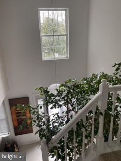 BOX HILL NORTH - Residential