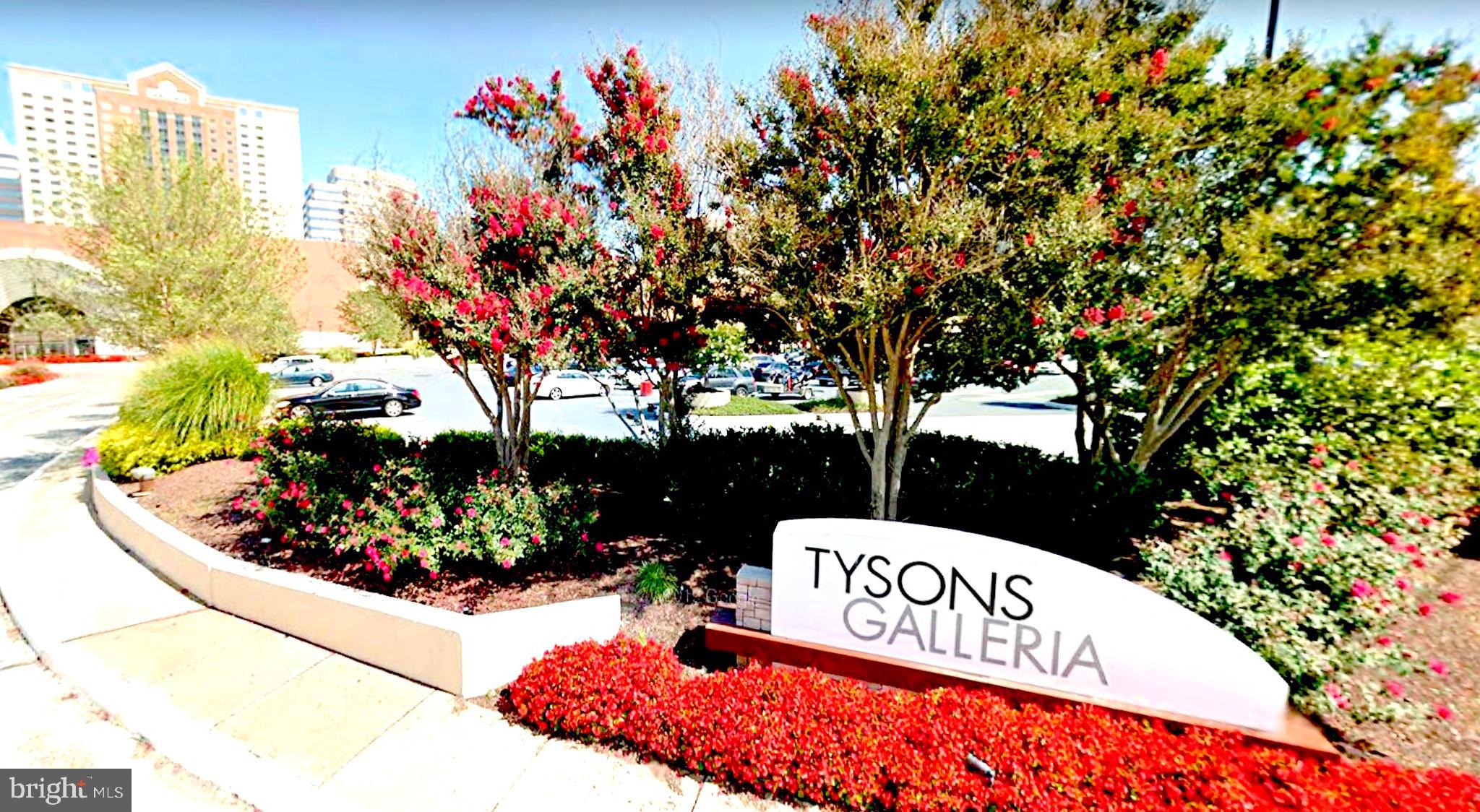 LILLIAN COURT AT TYSONS - Residential Lease