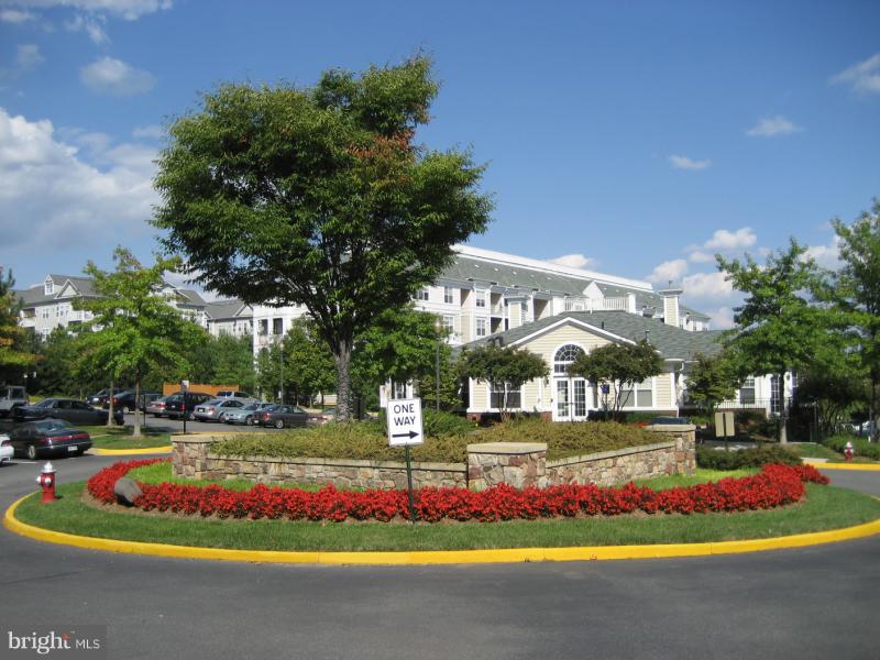 LILLIAN COURT AT TYSONS - Residential Lease