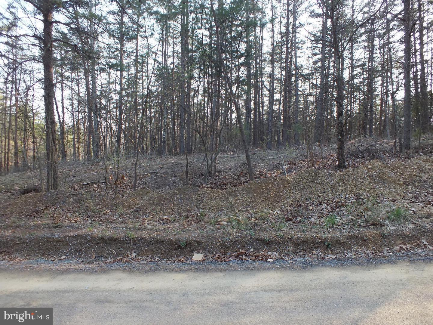 CHESTNUT GROVE ESTATES - Land