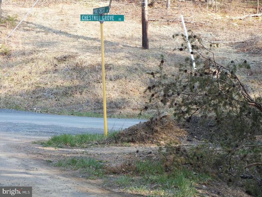 Terrific five acre lot in a great location!  Lot 15 in the Chestnut Grove Estates subdivision.  No HOA.  Nearly 300 ft of paved road frontage!  Perc has been located and just needs county approval.  Excellent opportunity in beautiful western Frederick County.