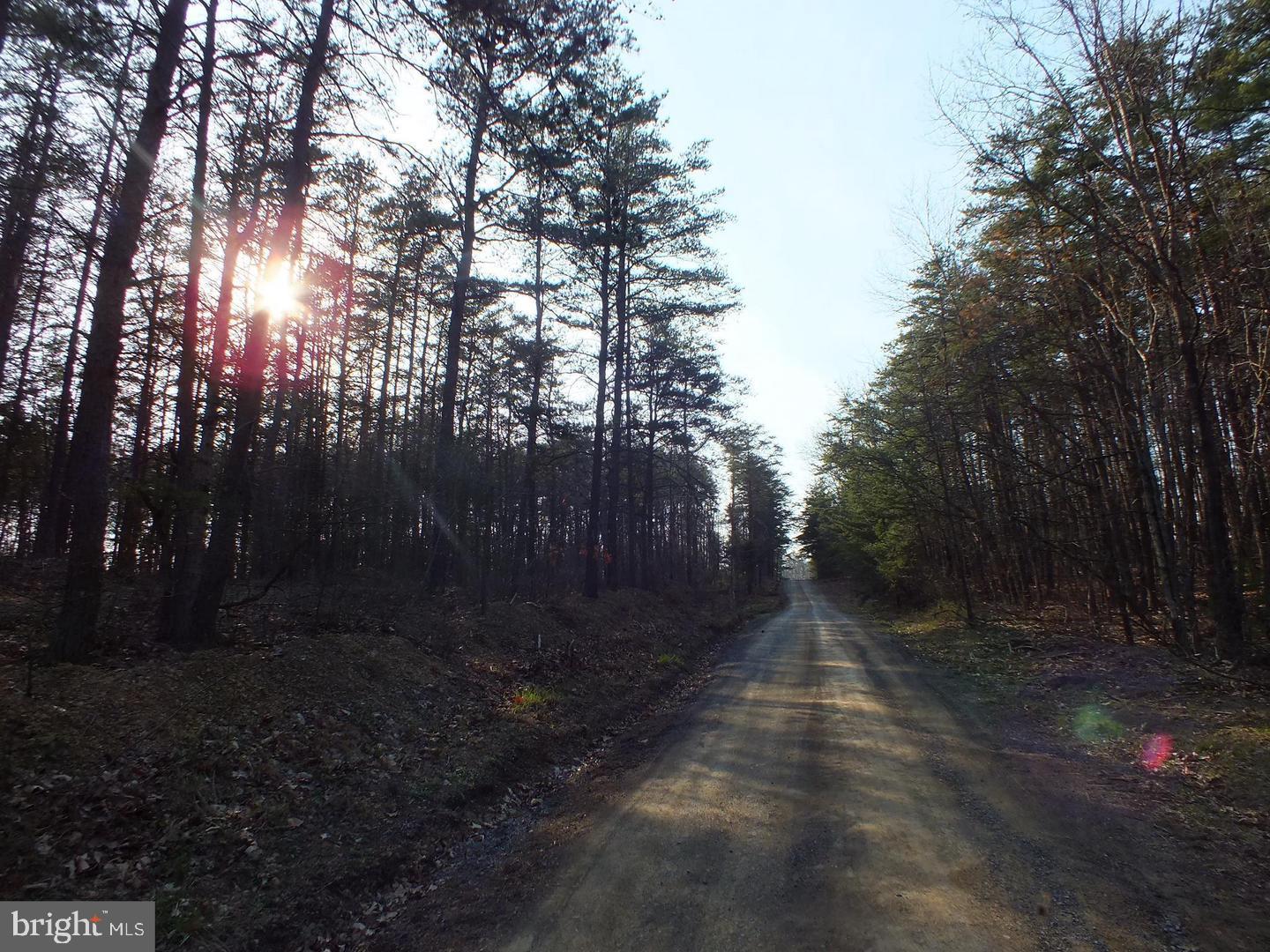 CHESTNUT GROVE ESTATES - Land