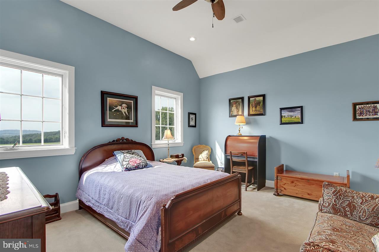 BELLA NOTTE ESTATE - Farm