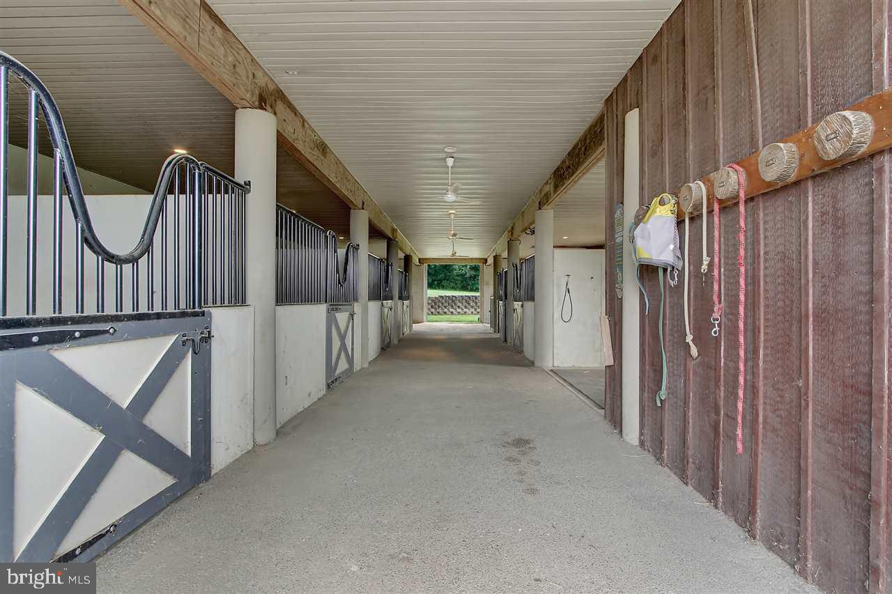 BELLA NOTTE ESTATE - Farm