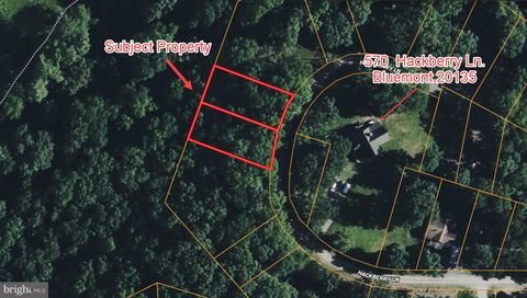 Vacant Land For Sale - LOT 49 & LOT 50 Hackberry Ln<br/> BLUEMONT, VA 20135