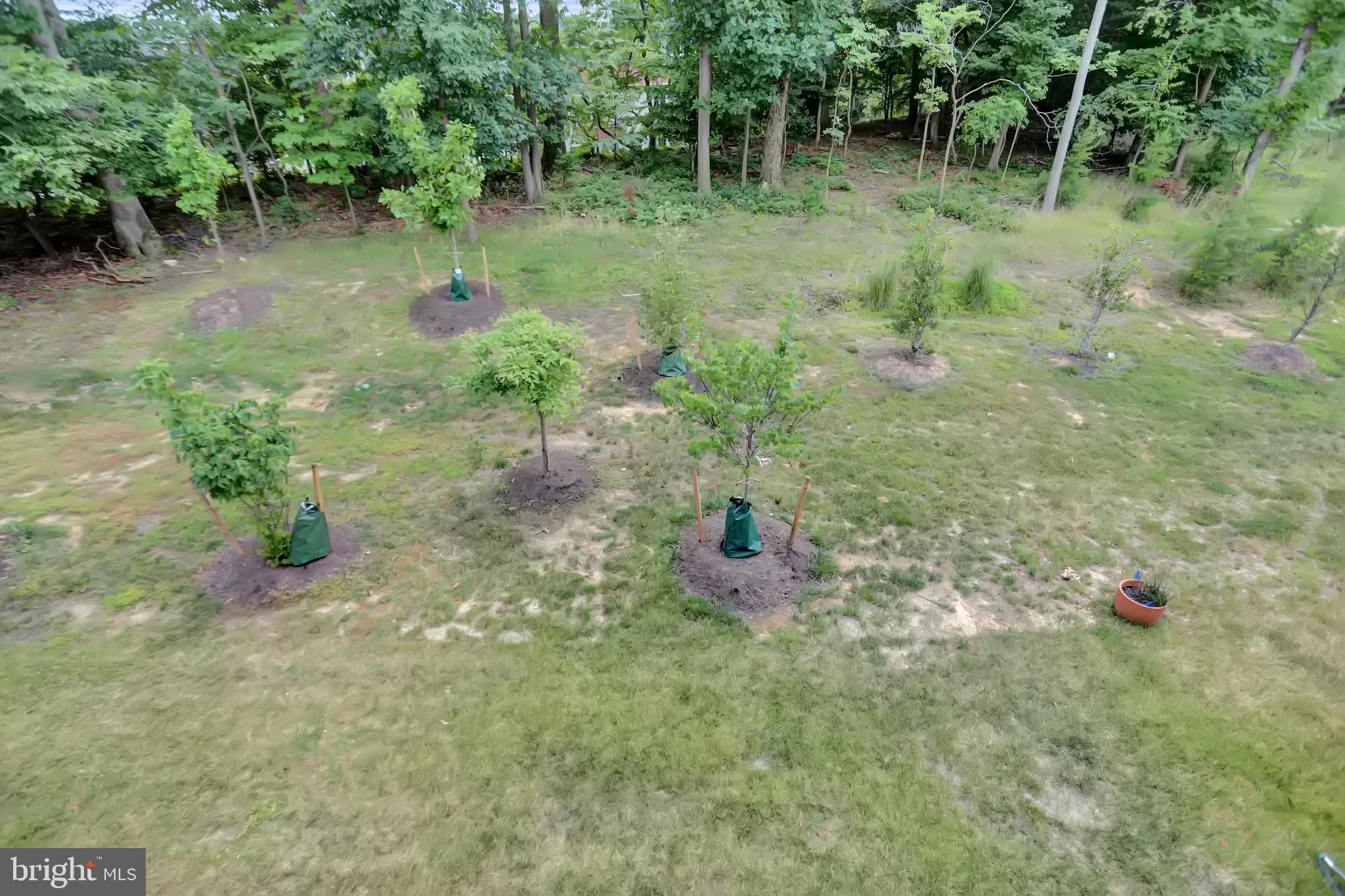 BALLARD GREEN - Residential