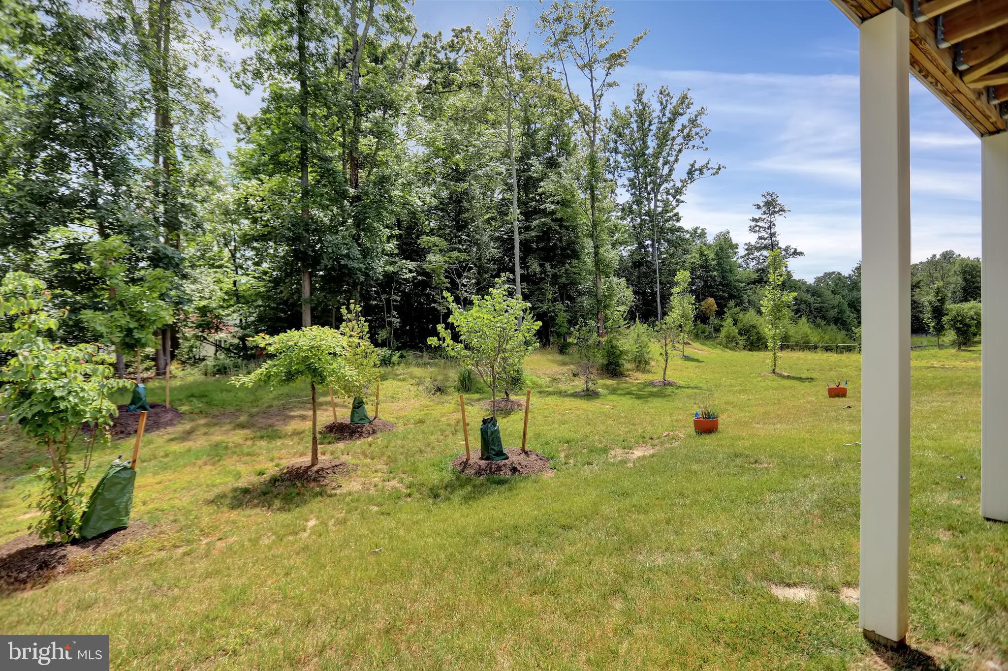 BALLARD GREEN - Residential