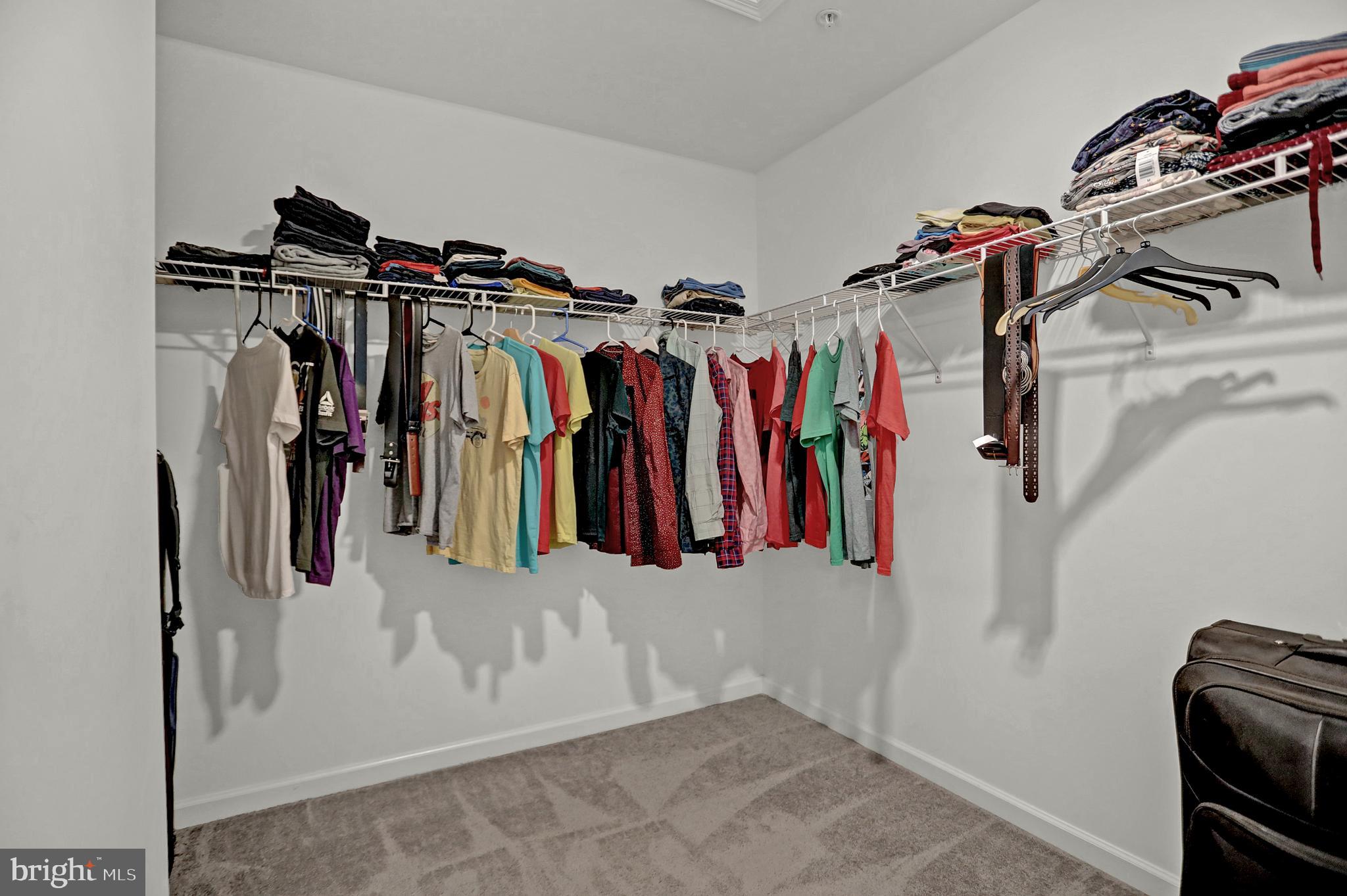 BALLARD GREEN - Residential