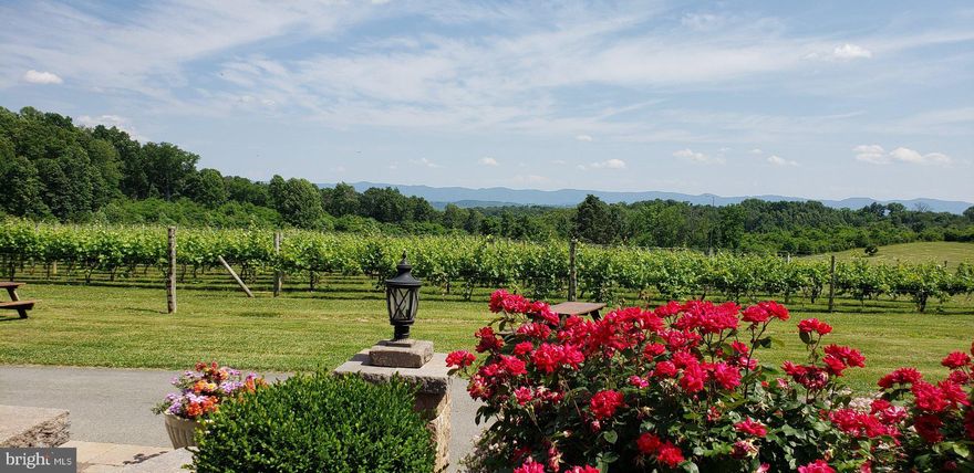 Fantastic turn-key opportunity! Become the new winery owner of this beautifully tucked away oasis in the Virginia Mountains, situated between the Blue Ridge Mountains and the Allegheny Mountains. Virginia Mountain Vineyards is located in the town of Fincastle, the county seat in the historical County of Botetourt, 25 miles North of Roanoke. The vineyard is well-known for producing some of the best grapes in Virginia. The winery produces primarily “estate” wines, which means that most of Virginia Mountain Vineyards wines are produced from grapes grown in their vineyard. This winery offers very good revenue growth, derived from their wine sales and event business. It is a short distance from Washington, D.C, Northern VA, and Maryland. The offering consists of two parcels spanning over  91 acres of rolling hills, woodlands, and open land. The vineyard consists of 4 acres, which are part of the 91 total acres. The owner's 3 bed, 2.5 bath personal residence is located on the property near the tasting room, and part of the offering. The buildings on-site consist of the tasting room, production building, cold room, covered patio, large tented area for overflow seating, outdoor chapel, storage space, and more.  The production facility has a capacity for a little under 2000 cases per year with adequate storage capacity. There are several generators on the property to ensure everything keeps running smoothly if the power goes out. The only easement on the property is a natural gas easement, as it uses natural gas. There is so much income potential by increasing wine club, offering more events, building cabins, and bringing more agritourism opportunities to the area. The current owners have built this turn-key operation and is ready for someone to come in and keep it going! Do not miss the chance to become a new winery owner in the scenic Virginia Mountains! Price does not include wine inventory. Additional business information and private tours available upon the execution of a Non-Disclosure Agreement and a verifiable Proof of Funds from a recognized financial institution.