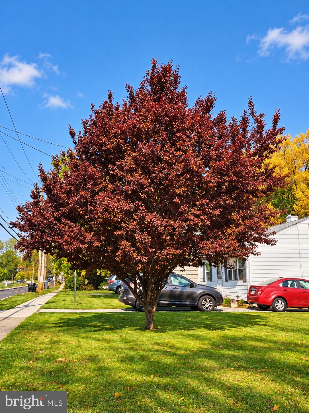 2123 WALNUT STREET