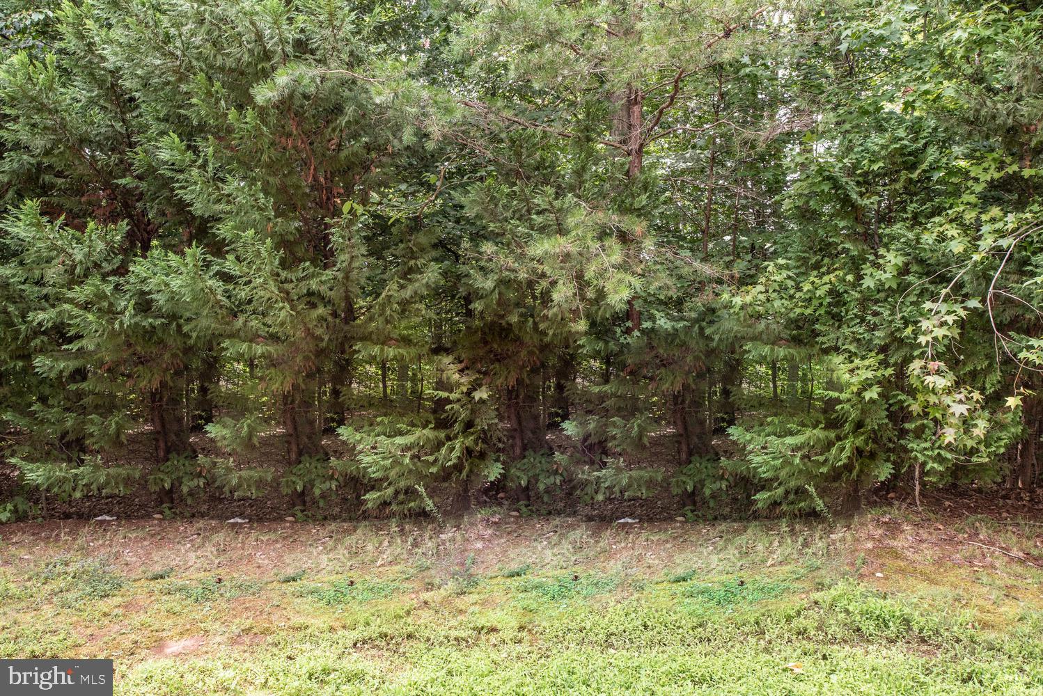 LAFAYETTE VILLAGE - Residential