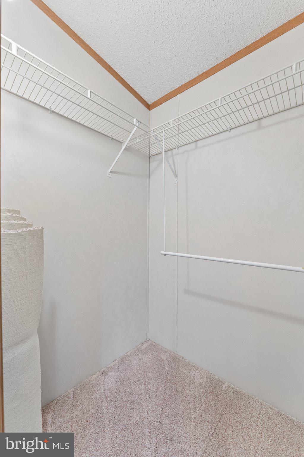 MEADOWS OF CHANTILLY - Residential