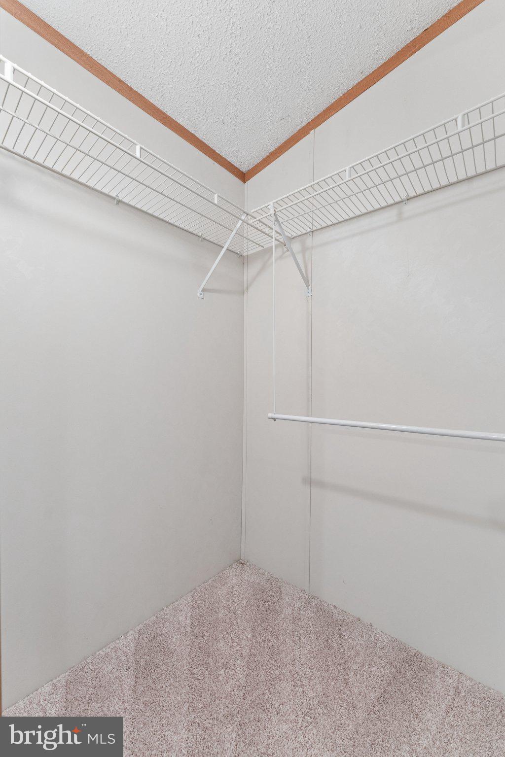 MEADOWS OF CHANTILLY - Residential