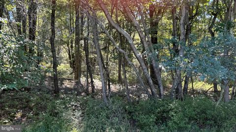 Lot 45 ELK DRIVE BLAKESLEE PA 18610