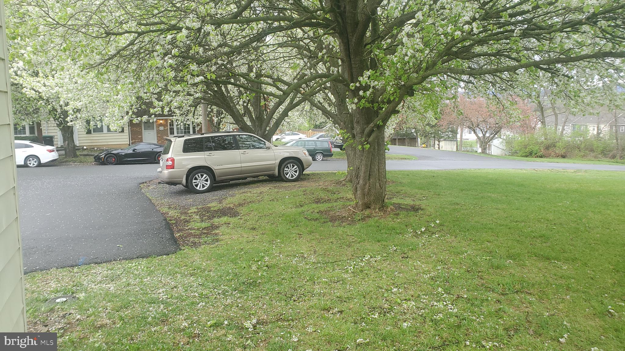 SURRY SQUARE - Residential