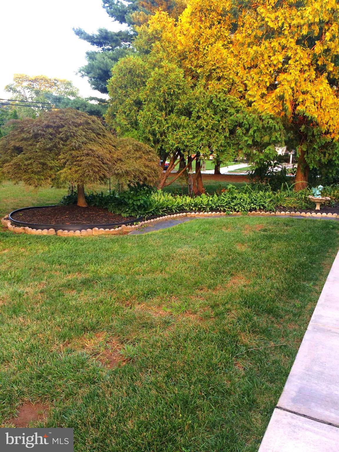 SPRINGLAKE - Residential