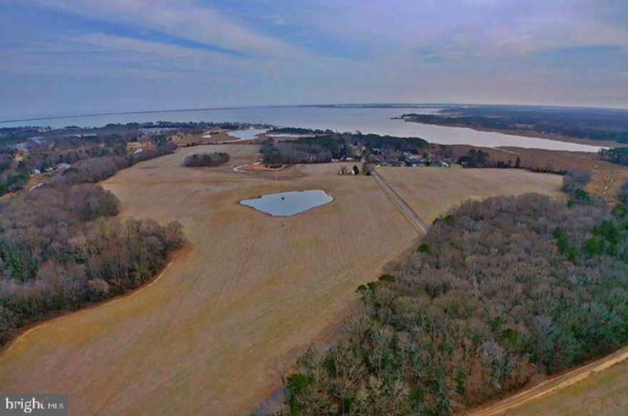 Excellent development opportunity!  Frontage on Arnell Creek and Dorman's Branch.  170+/- mostly cleared acres zoned AR-1 with potential for public water & sewer.  Conveniently located to Rehoboth Beach, Lewes, Cape Henlopen State Park, restaurants & shopping.