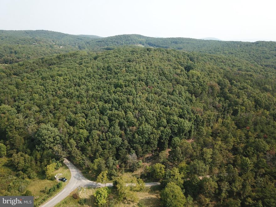 When only a premium property will suffice. Exceptional offering of everything needed for the good life in West Virginia. Over 25 UNRESTRICTED Acres, offering a prime parcel with ample county road frontage and a manageable topography. Navigate this tract with ease via the remnants of an old access road still in place that could easily be improved upon. Multiple beautiful, elevated and secluded build sites throughout. Comprised of towering oak hardwoods with scattered pines equaling the perfect habitat for wildlife. Enjoy every outdoor recreation imaginable Hunt, Hike, Shoot, Ride ATVs or simply relax in the quiet serenity of the mountains. Easy access via US Route 50 allows you to be from your paradise in the mountains to Dulles Airport in under 2 hours. This destination property offers the freedom you seek at a price you can afford.
