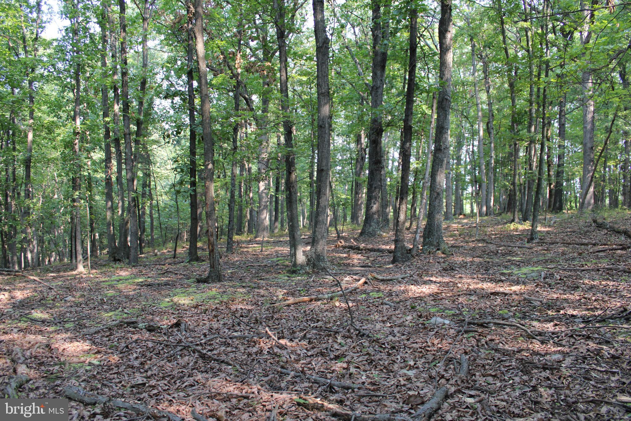 NONE AVAILABLE - Land