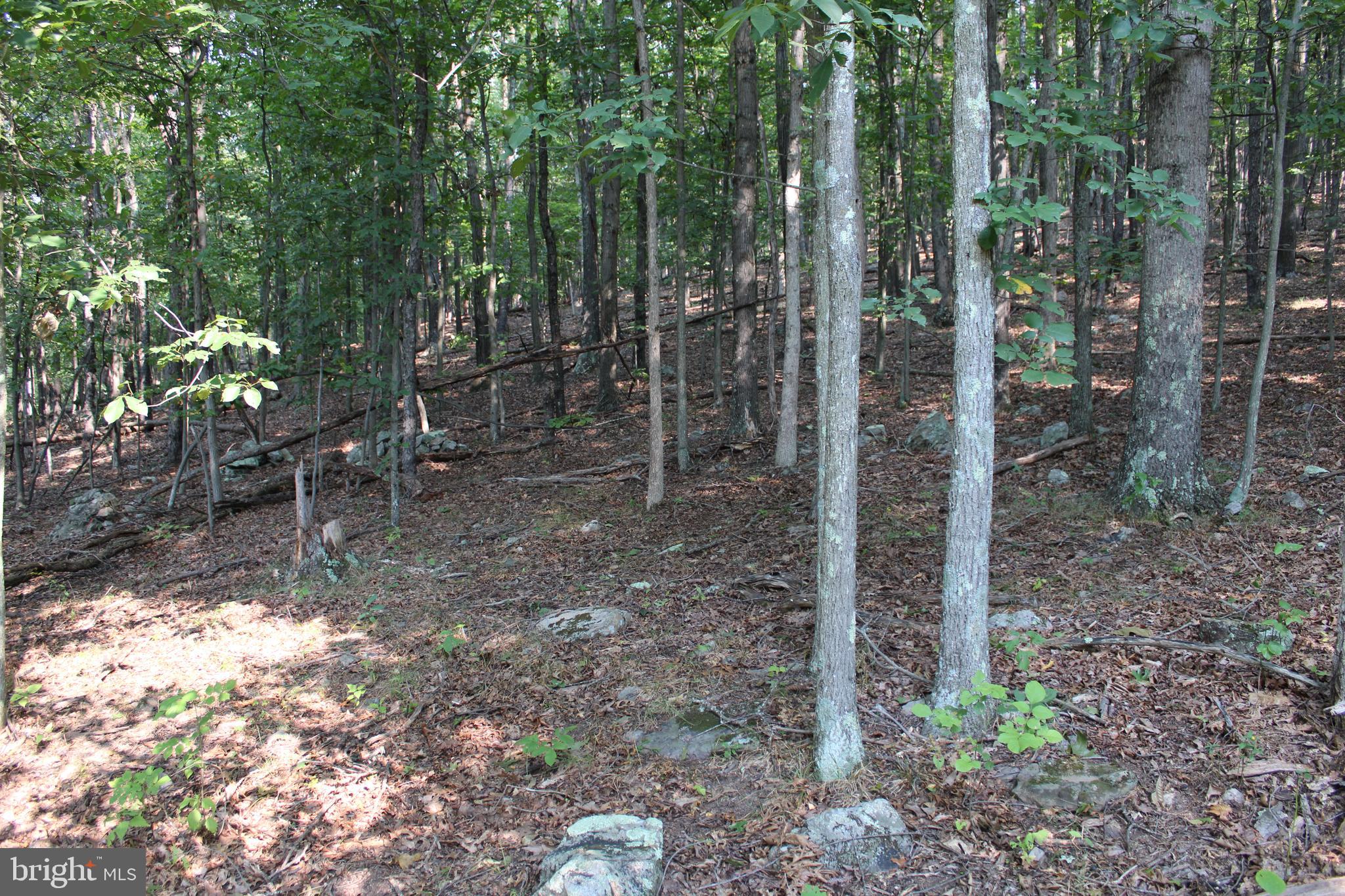 NONE AVAILABLE - Land